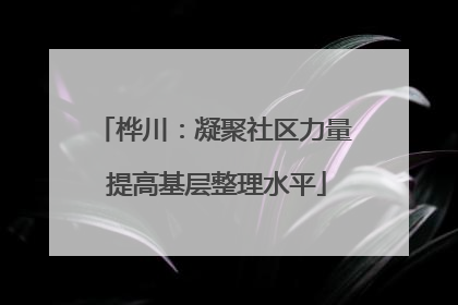 桦川：凝聚社区力量 提高基层整理水平